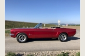 Ford Mustang Cabrio Bj.1965 in herrlich restauriertem Zustand für Hochzeitsfahrten zu mieten