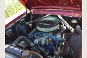 Ford Mustang Cabrio Bj.1965 in herrlich restauriertem Zustand für Hochzeitsfahrten zu mieten