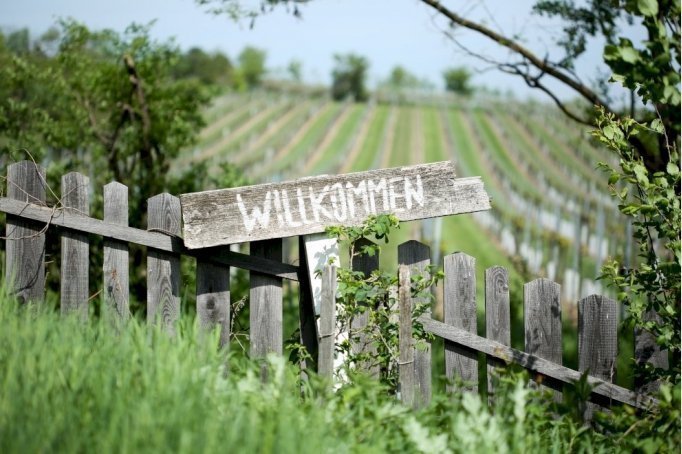 Weingut Weinhandwerk