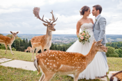 Freudenfeuer Hochzeiten