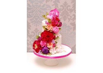 Cir Cake Design, Cupcakesmanufaktur in Wien